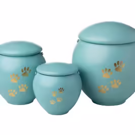 URNA PET 0.4L - 0.8L - 1.8L