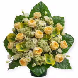 ONE-SIDED ARRANGEMENT MON155