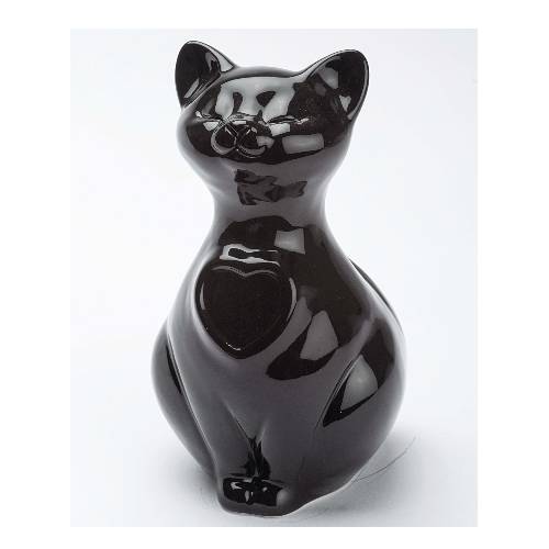 Urna gatto nera