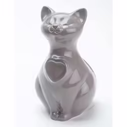 Cat light grey urn