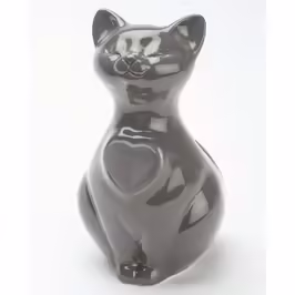 Urna gatto grigio scuro