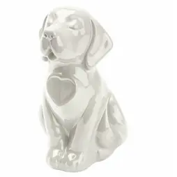 Urna Cane bianco
