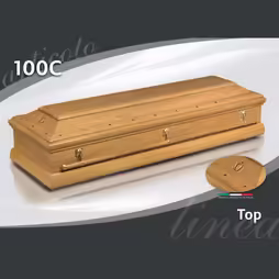CORI 100C Top