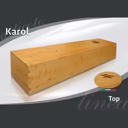 CORI Karol Top