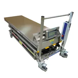 Electric Lift with Weighing System