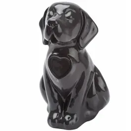 Urna cane nero