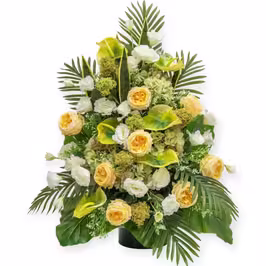 ONE-SIDED ARRANGEMENT MON171