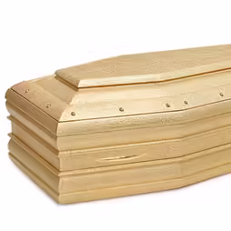Gold Coffin 