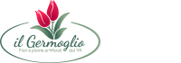 il-germoglio-cooperativa-sociale