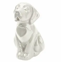Urna Cane bianco