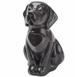 Urna cane nero