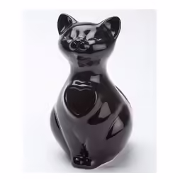Cat black urn
