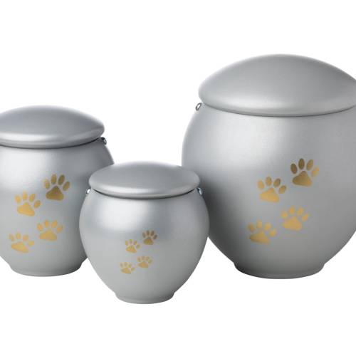 URNA PET 0.4L - 0.8L - 1.8L