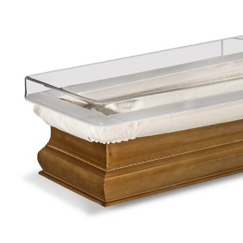 Ionizing Case for Coffin