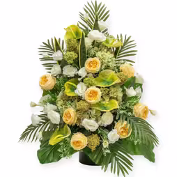 ONE-SIDED ARRANGEMENT MON171