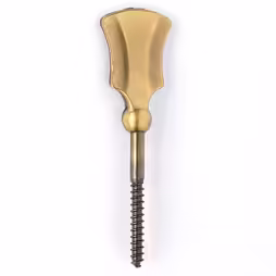 SCREW VAF 2