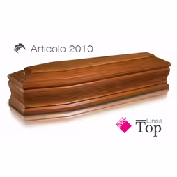 2010 Top Coffin