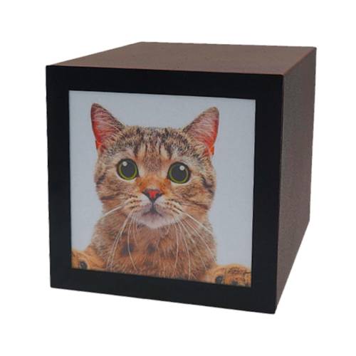 PET CUBE URN 1.3L - 3L