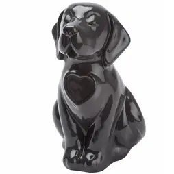 Urna cane nero