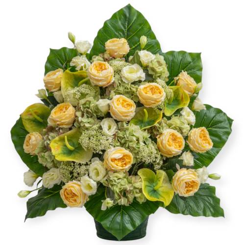 ONE-SIDED ARRANGEMENT MON155