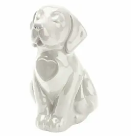 Urna Cane bianco