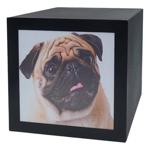 PET CUBE URN 1.3L - 3L