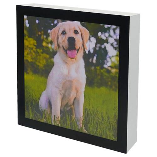 URN PET QUADRO 3.0L