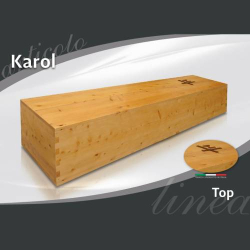 CORI Karol Top
