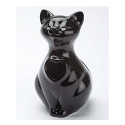Urna gatto nera