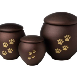 URNA PET 0.4L - 0.8L - 1.8L