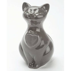 Urna gatto grigio scuro