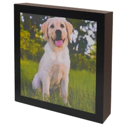 URN PET QUADRO 3.0L
