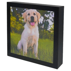 URN PET QUADRO 3.0L