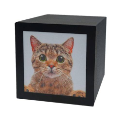 PET CUBE URN 1.3L - 3L