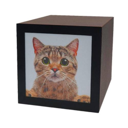 PET CUBE URN 1.3L - 3L