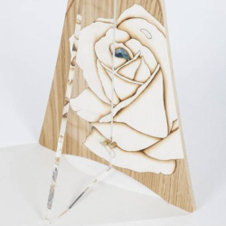 "CRISTALLO DI LUCE rovere" set