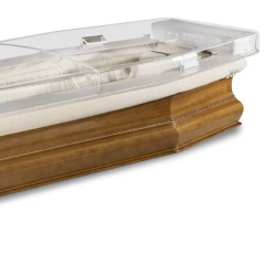 Ionizing Case for Coffin
